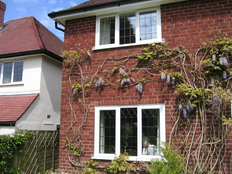 Edwardian Conservatory — Gallery Hackney