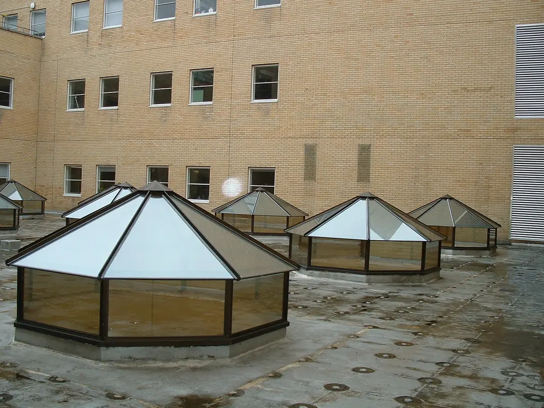 Flat Roof Skylights Hackney